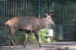 Tierpark Berlin