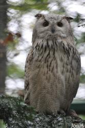 Tierpark Berlin