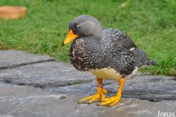 Tierpark Berlin