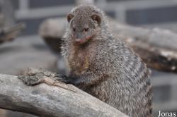 Tierpark Berlin