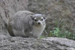 Tierpark Berlin
