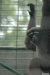 Shanghai Zoo