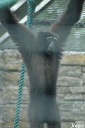 Shanghai Zoo
