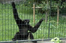 Shanghai Zoo