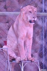 Xiangjiang Safari Park Guangzhou