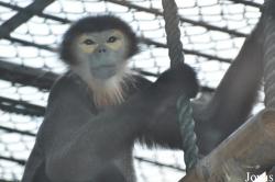 Xiangjiang Safari Park Guangzhou
