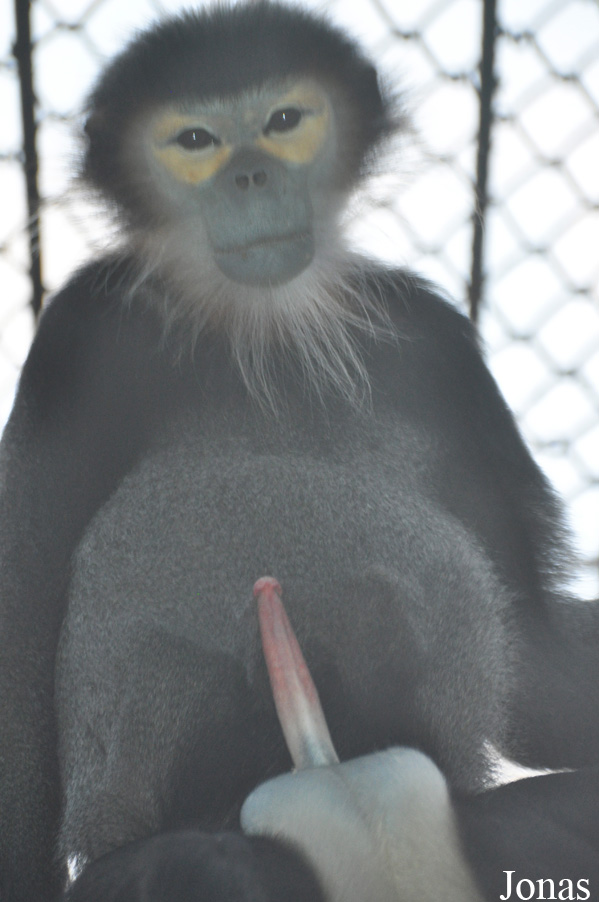 Xiangjiang Safari Park Guangzhou