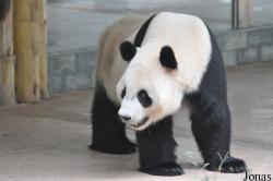Guangzhou Zoo