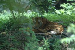 Shanghai Zoo