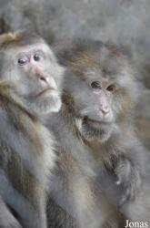Guangzhou Zoo