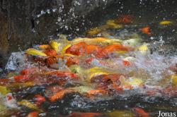 Guangzhou Zoo