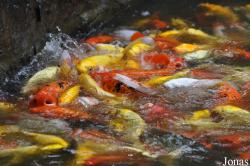 Guangzhou Zoo