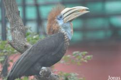 Hong Kong Zoological and Botanical Gardens