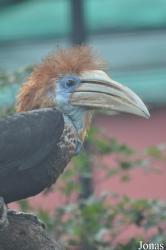 Hong Kong Zoological and Botanical Gardens