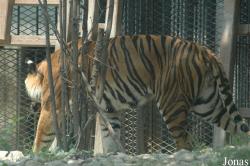 Shanghai Zoo