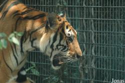 Shanghai Zoo