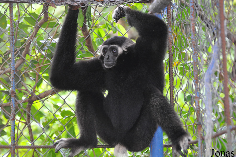 Teuk Chhou Zoo