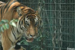 Shanghai Zoo