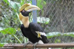 Teuk Chhou Zoo