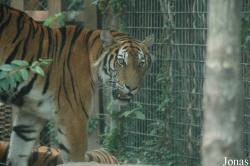Shanghai Zoo