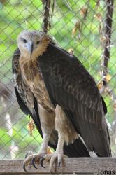 Teuk Chhou Zoo