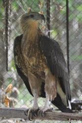 Teuk Chhou Zoo