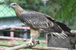 Teuk Chhou Zoo