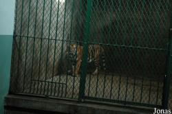 Shanghai Zoo