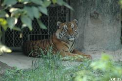 Shanghai Zoo