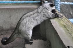 Phnom Tamao Zoo and Wildlife Rescue Center (PTWRC)