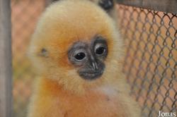 Cu Chi Wildlife Rescue Station