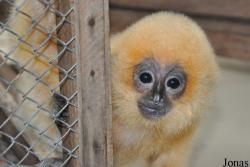 Cu Chi Wildlife Rescue Station