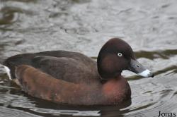 WWT Martin Mere Wetland Centre