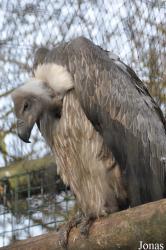 Wetlands Animal Park