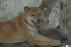 Shanghai Zoo