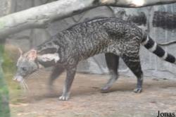 Saigon Zoo & Botanical Gardens