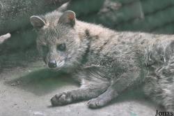 Saigon Zoo & Botanical Gardens