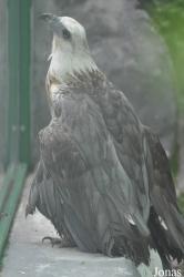 Saigon Zoo & Botanical Gardens