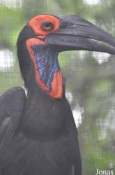 Linton Zoological Gardens