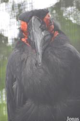 Linton Zoological Gardens