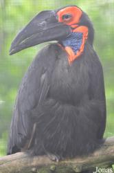 Linton Zoological Gardens