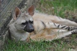Hamerton Zoo Park