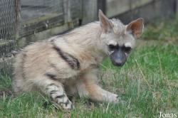 Hamerton Zoo Park