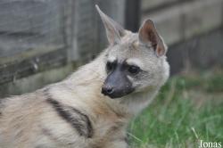 Hamerton Zoo Park