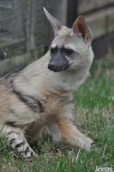 Hamerton Zoo Park