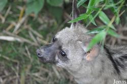 Rare Species Conservation Centre
