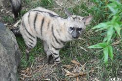 Rare Species Conservation Centre