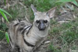 Rare Species Conservation Centre
