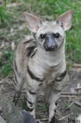 Rare Species Conservation Centre