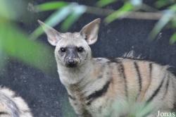 Rare Species Conservation Centre